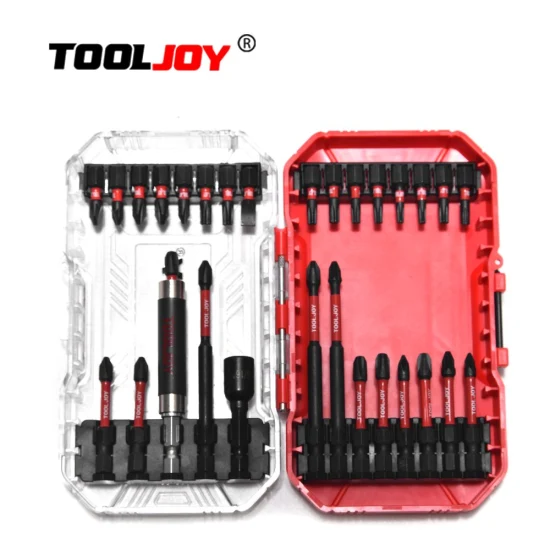 Tooljoy 30 Pezzi Punta per Cacciavite Punta per Cacciavite Magnetica a Doppia Estremità, Supporto per Vite, Punte per Cacciavite Esagonali, Testa a Vento Trasversale, Testa Elettrica Industriale